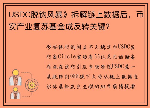 USDC脱钩风暴》拆解链上数据后，币安产业复苏基金成反转关键？